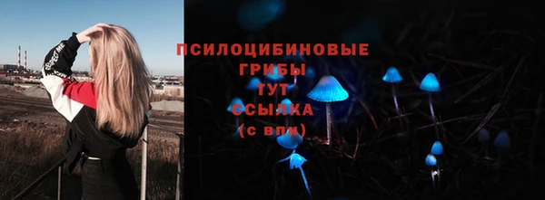 мдпв Абдулино