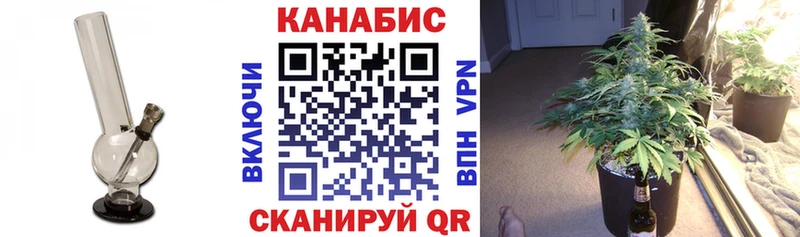 Бошки Шишки сатива  купить наркотики цена  Сухой Лог 